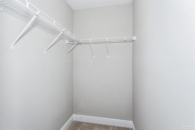 walk in closet featuring carpet