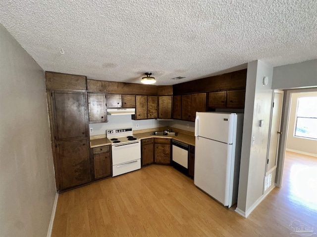 kitchen featuring white appliances, a textured ceiling, light hardwood / wood-style floors, sink, and dark brown cabinets