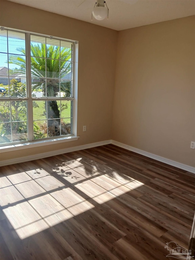 spare room with hardwood / wood-style flooring