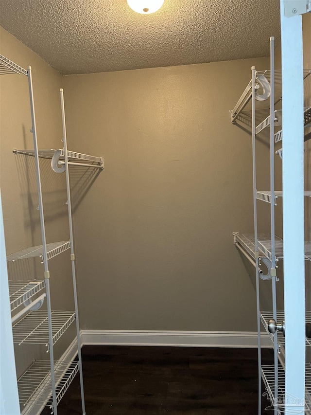 spacious closet with dark hardwood / wood-style floors