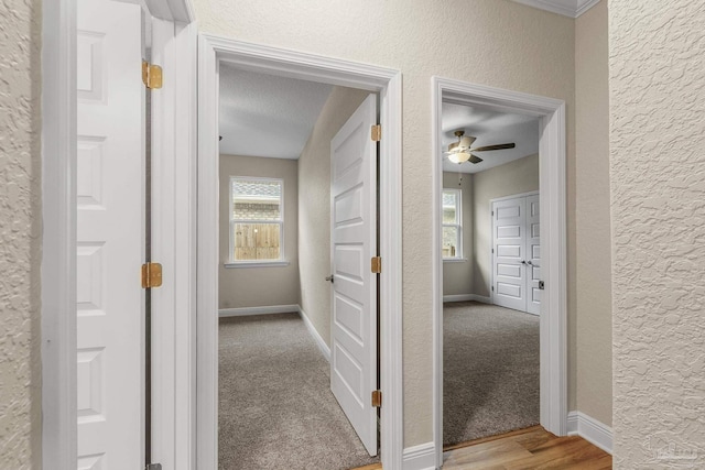 hall with baseboards and a textured wall