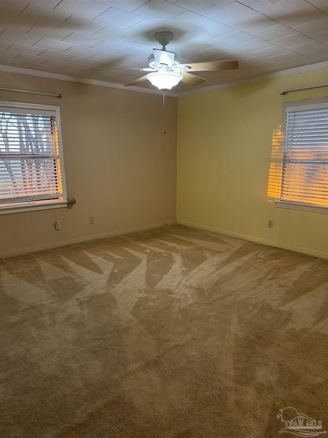 carpeted spare room featuring ornamental molding and ceiling fan