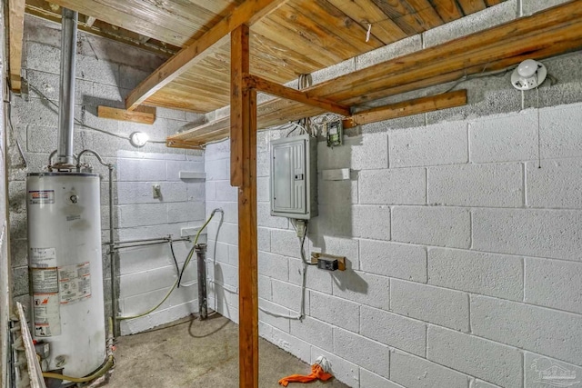 utility room with electric panel and gas water heater