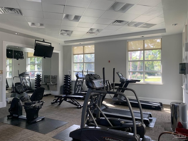 workout area with a paneled ceiling, a raised ceiling, and carpet