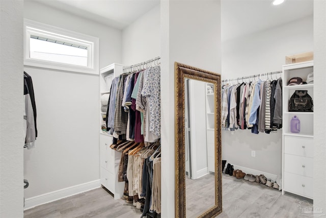 8780 Spider Lily Way, Pensacola, FL 32526 - walk in closet with light wood-style flooring