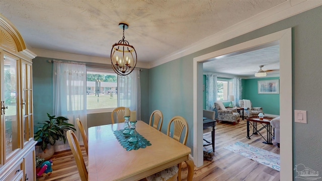 200 Talladega Trl, Pensacola, FL 32506 - dining space featuring light wood-type flooring, a chandelier, a textured ceiling, and crown molding