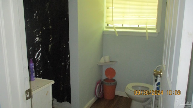 bathroom with vanity, hardwood / wood-style flooring, and toilet