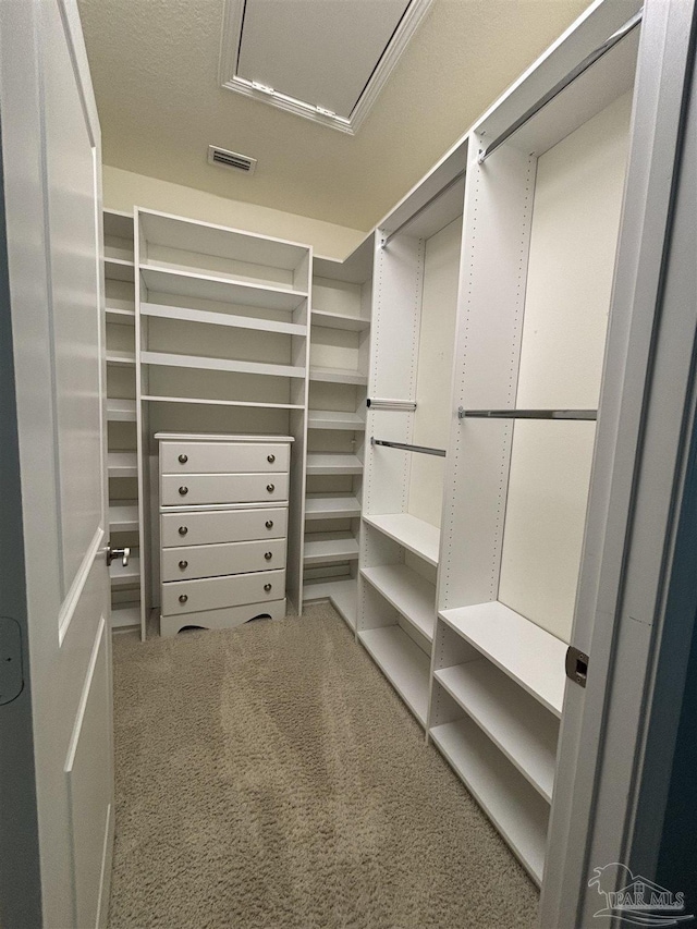 walk in closet featuring visible vents and carpet floors