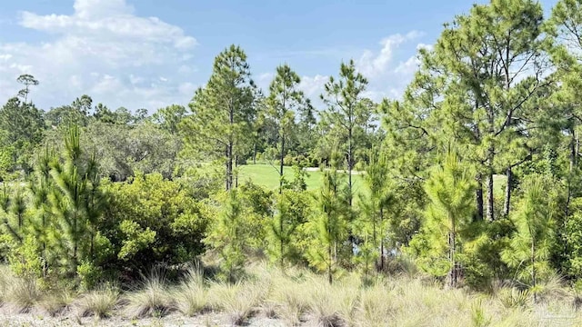 view of local wilderness