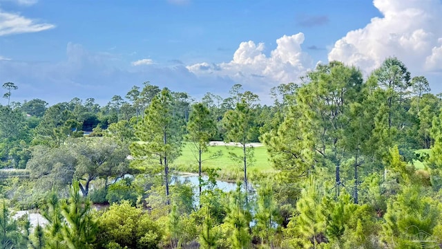 view of local wilderness featuring a water view and a forest view