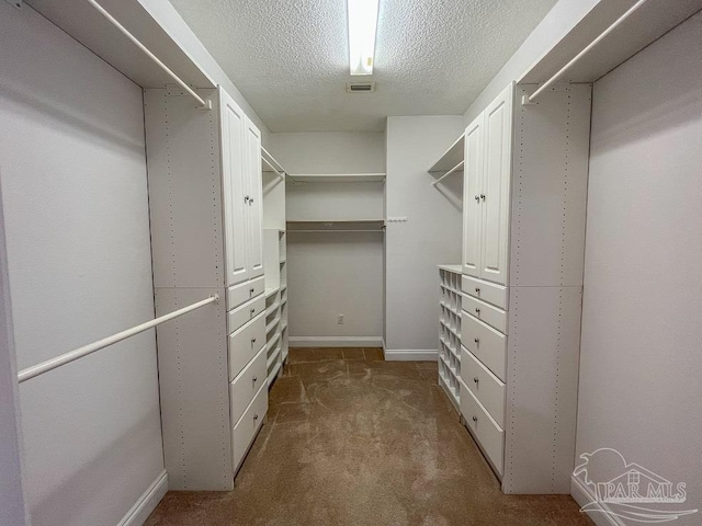 3615 Ward Basin Rd, Milton, FL 32583 - walk in closet featuring carpet floors