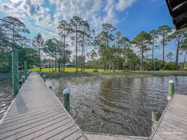 dock area with a water view