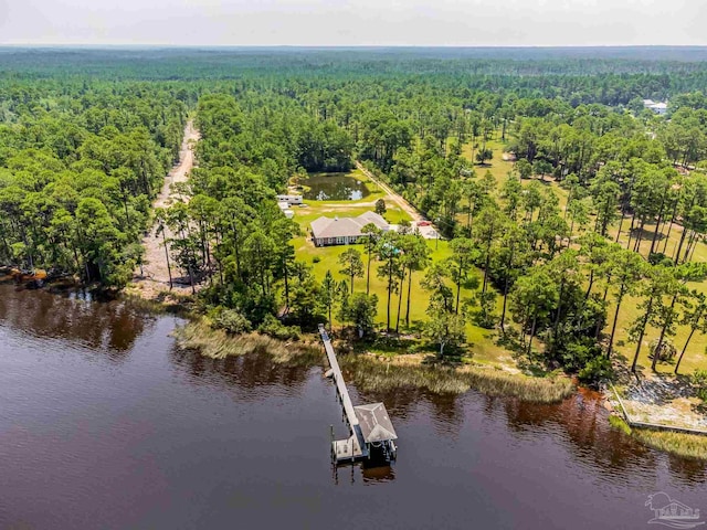 3615 Ward Basin Rd, Milton, FL 32583 - bird's eye view of a heavily wooded area and a nearby body of water