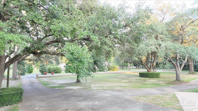 view of community with a yard