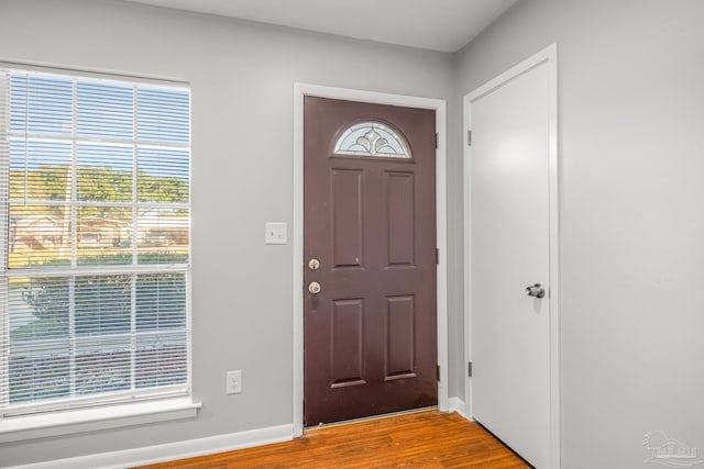 foyer with a wealth of natural light and hardwood / wood-style floors