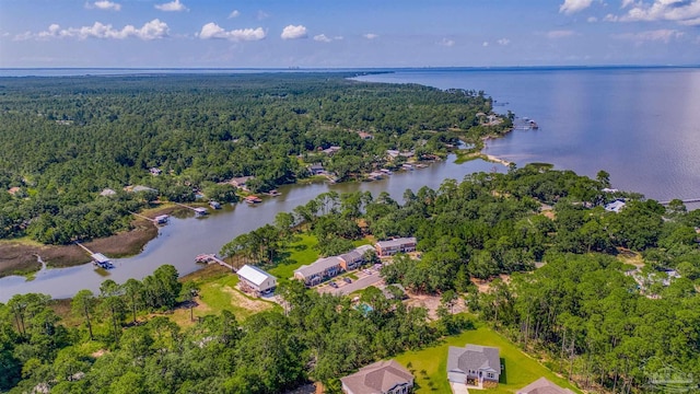 aerial view featuring a view of trees and a water view