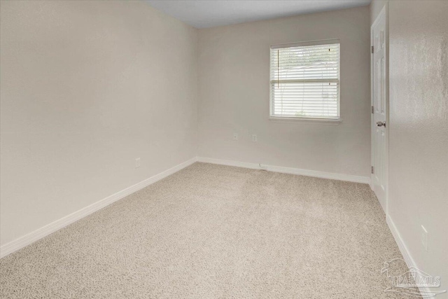 spare room with carpet flooring