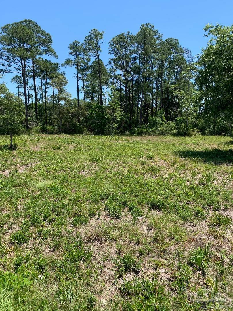 943 Turnbuckle Trl, Pensacola, FL 32507