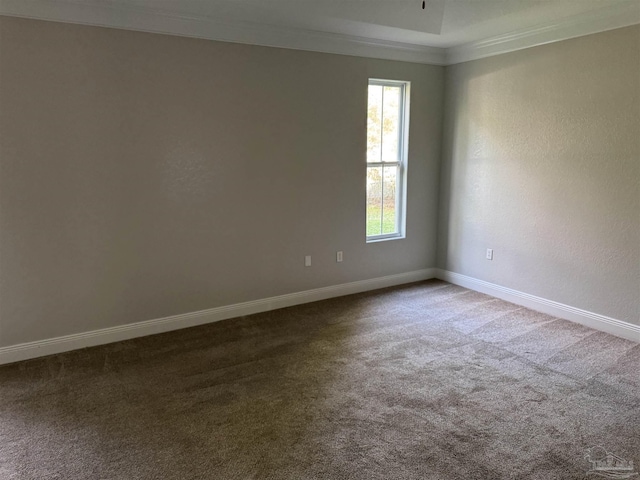 carpeted spare room with crown molding