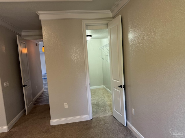 corridor featuring carpet and ornamental molding