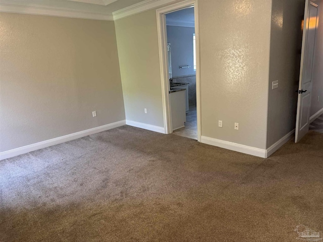 carpeted empty room with crown molding