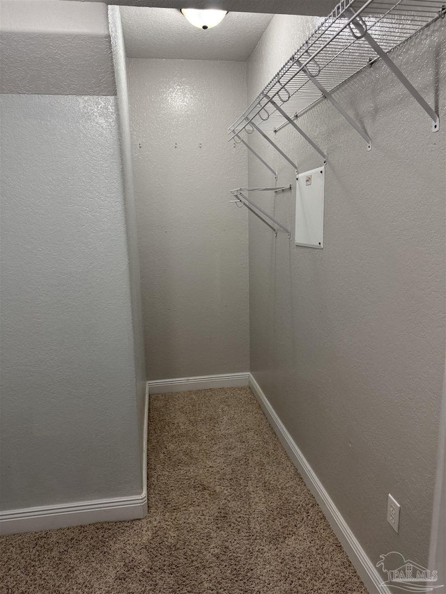 walk in closet featuring carpet floors