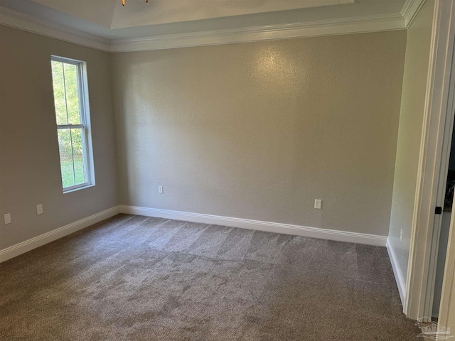 carpeted empty room featuring ornamental molding