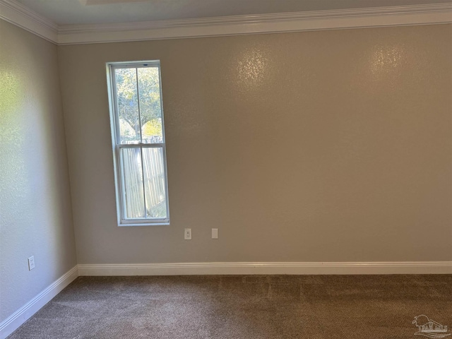 spare room featuring carpet flooring and ornamental molding