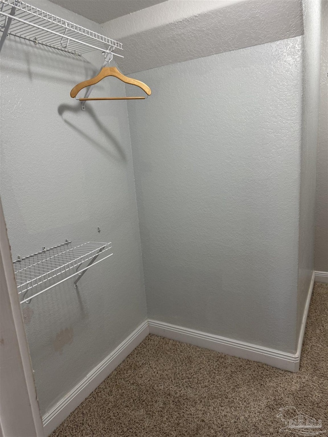 walk in closet featuring carpet flooring