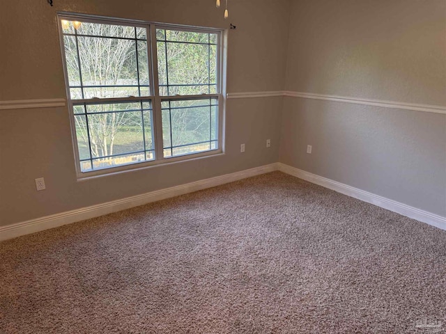 empty room with carpet flooring and a wealth of natural light