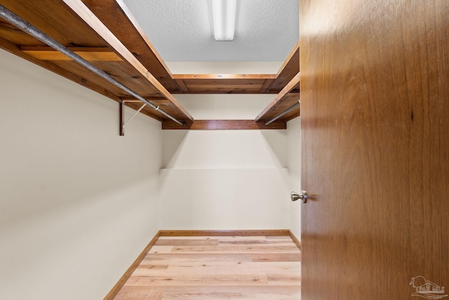 walk in closet featuring light hardwood / wood-style floors