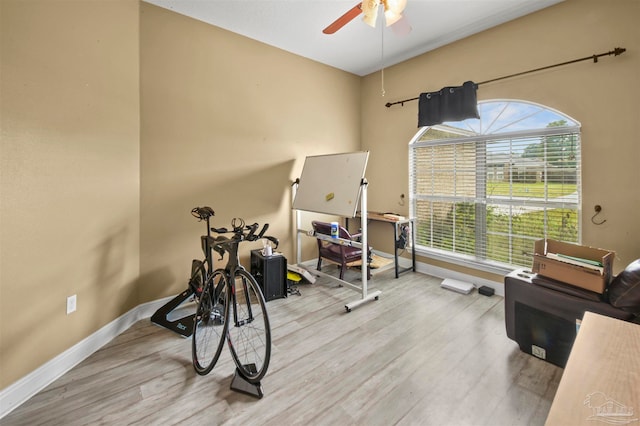 workout room featuring light hardwood / wood-style floors, ceiling fan, and a healthy amount of sunlight