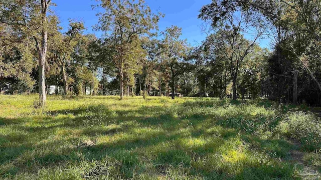 view of landscape