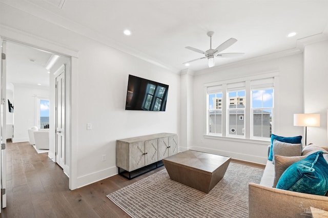 living room with ceiling fan, crown molding, and wood-type flooring