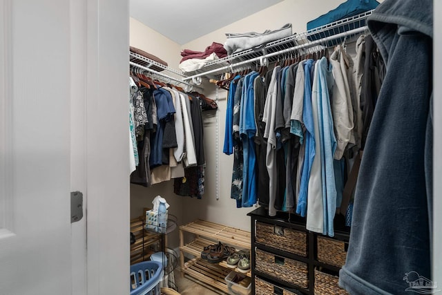 view of spacious closet