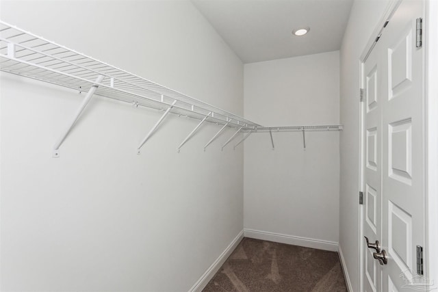415 Broadleaf Cir, Cantonment, FL 32533 - spacious closet with carpet floors