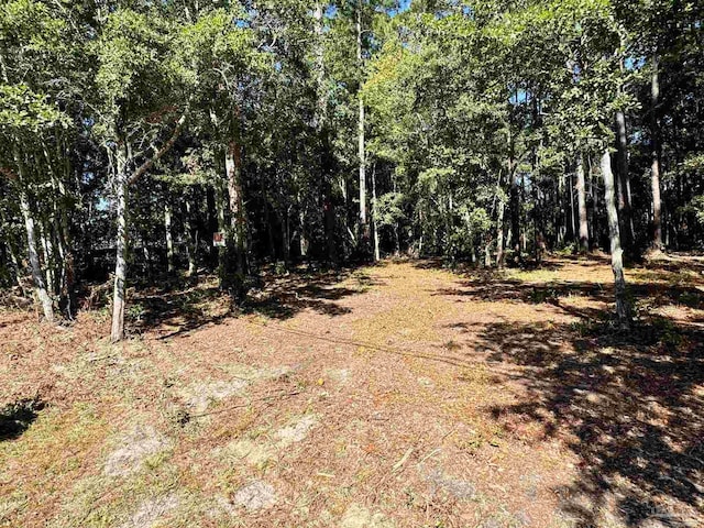 Listing photo 2 for 0000 Robinson Point Rd, Milton FL 32583