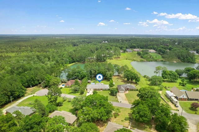 20033 Erin Pond, Seminole, AL 36574 - bird's eye view featuring a water view and a wooded view