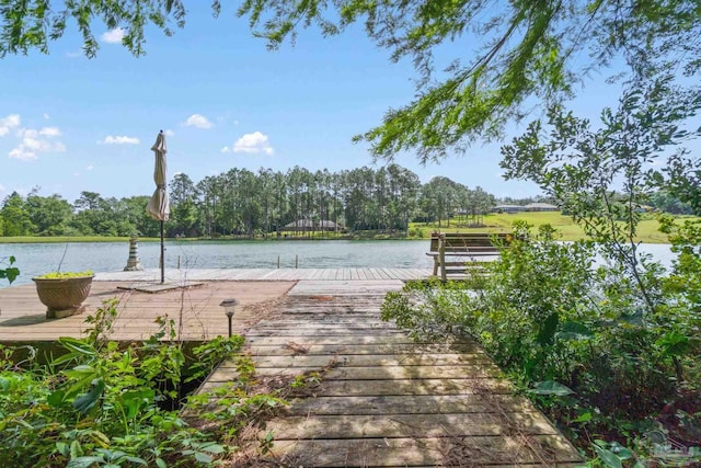 20033 Erin Pond, Seminole, AL 36574 - dock area with a water view