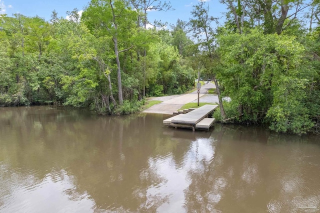 20033 Erin Pond, Seminole, AL 36574 - dock area with a water view and a forest view