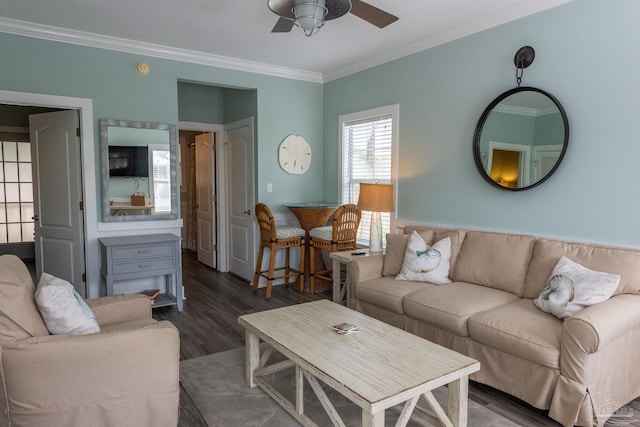 living room with ceiling fan, dark wood-type flooring, and crown molding