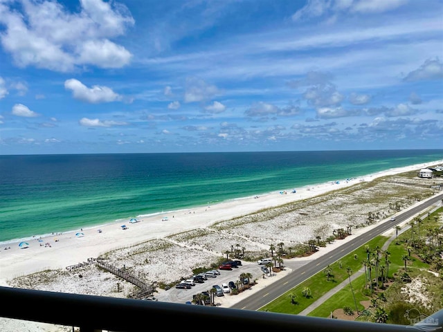 water view featuring a beach view