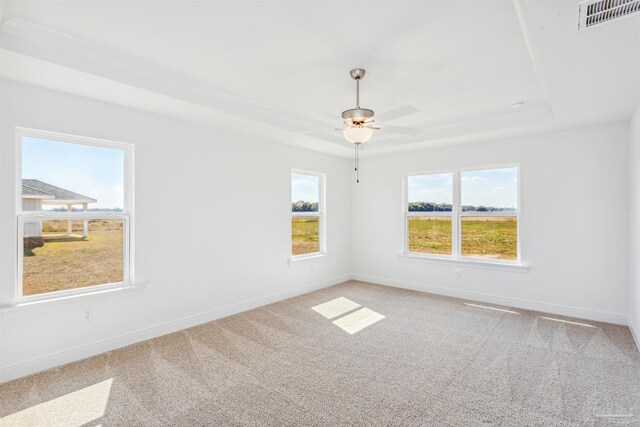 spare room with carpet floors, ceiling fan, and a tray ceiling