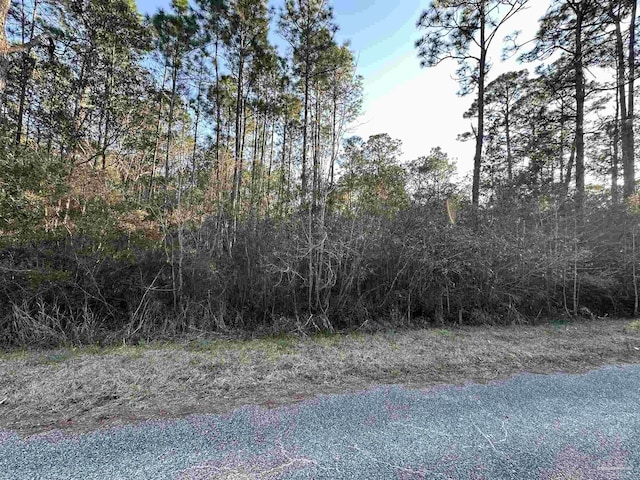 Listing photo 3 for 0 Couey Rd, Milton FL 32583