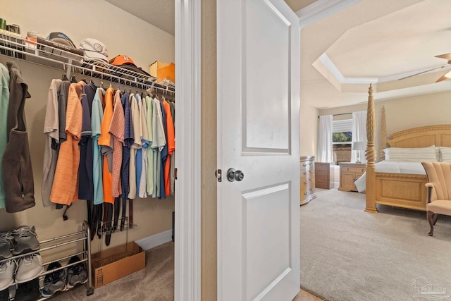 walk in closet featuring carpet and a raised ceiling