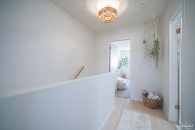 hall featuring light hardwood / wood-style floors