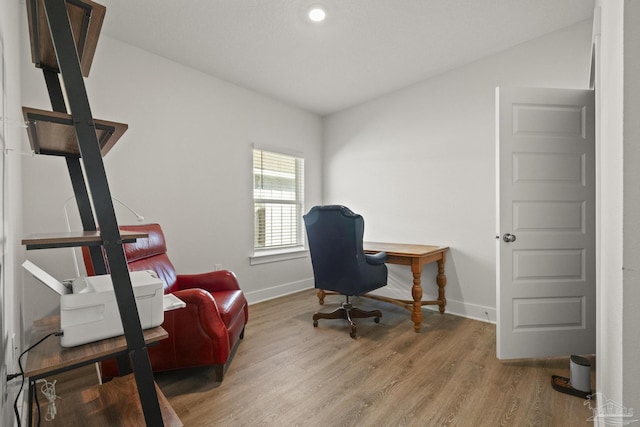 office area featuring hardwood / wood-style floors