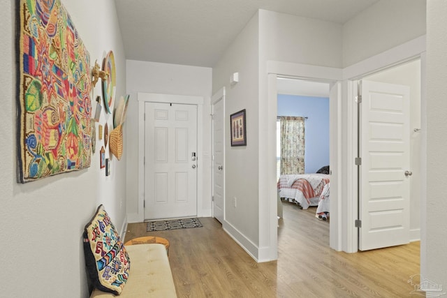 entrance foyer featuring light hardwood / wood-style flooring