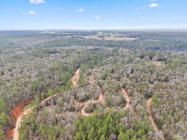 0000 Clear Creek Dr, Milton FL, 32570 land for sale