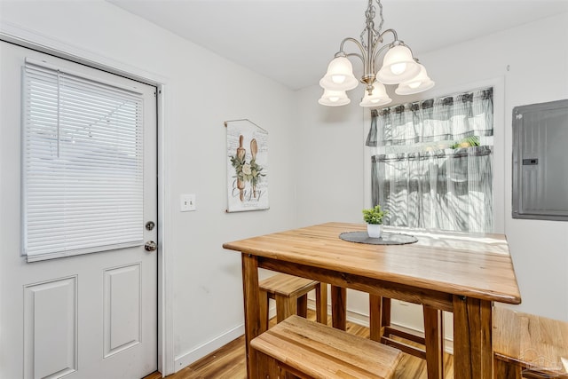 dining room with plenty of natural light, a chandelier, hardwood / wood-style floors, and electric panel